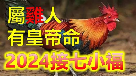 雞的年次|屬雞今年幾歲？2024屬雞生肖年齡對照表！屬雞性格特質